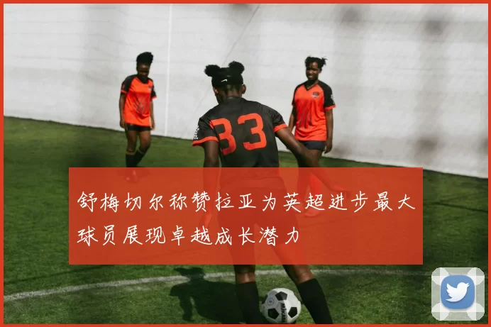 舒梅切尔称赞拉亚为英超进步最大球员展现卓越成长潜力
